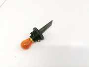 Gl?hbirnenfassung Blinker Renault Scenic, II 2003.06 - 2006.06 Gebraucht,