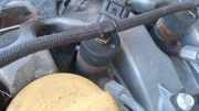 Einspritzdüse Chevrolet Captiva, 2006.01 - 2011.06 0445110270,96440397