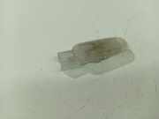 Innenraumleuchte Renault Scenic, II 2003.06 - 2006.06 Gebraucht,