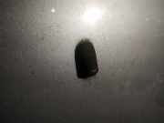 Waschwasserdüse Scheibenreinigung Ford Focus, 2004.11 - 2008.06 Gebraucht,