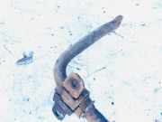 Stabilisator Stabi Hinten Hinterachse Mazda 5, CR 2005.02 - 2010.09 Gebraucht,