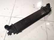 Ladeluftkühler Renault Laguna, III 2007.10 - 2010.11 Gebraucht,