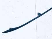 Dachreling Linke Volkswagen Sharan, 7M 1995.09 - 2000.04 95vwa55123a,95vwa55123-a 7m0860025d