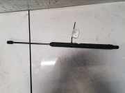 Gasfeder f?r Motorhaube Mercedes-Benz w209, 2002.06 - 2009.12 2038800429,