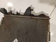 Wasserkühler Volkswagen Transporter, T5 2003.04 - 2009.11 Gebraucht , BKK