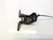 Türscharnier Vorne Renault Laguna, III 2007.10 - 2010.11 Gebraucht,