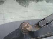 Wischermotor - Hinten Volvo V50, 2004.04 - 2007.05 Gebraucht,