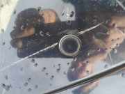Sensor für Einparkhilfe - HINTEN Volkswagen Phaeton, 2002.04 - 2006 Gebraucht, AYT