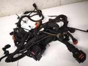 Kabelbaum Opel Insignia A, 2008.01 - 2013.01 55577039, 22743857