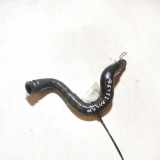 K?hlerschlauch Nissan Almera, N15 1995.07 - 1998.06 Gebraucht,