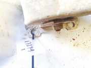 Stoßstangenträger hinten Renault Megane, II 2002.11 - 2006.06 8200010164d,