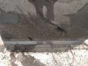 Zierleiste Tür Zier-Schutzleiste - Hinten Linke Honda Civic, 2006,01 - 2011.01 Gebraucht,