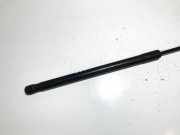 Gasdruckfeder Kofferraum Mercedes-Benz A-CLASS, W169, 2004.09 - 2008.09 1697400045, 7227re 0405n 31304