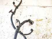 Kabelbaum Nissan Leaf, I 2010 - 2017.12 240113nl1a, 02667