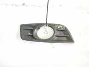 Kühlergrill - Vorne Rechts BMW X5, E53 2000.01 - 2003 30779101,