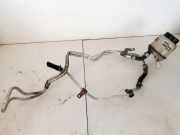 Servolenkung Ölbehälter Nissan X-Trail, 2001.06 - 2007.06 Gebraucht,