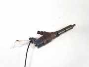 Einspritzdüse Peugeot 307, 2000.08 - 2005.06 0445110076, 9641742880