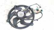 Kühlerlüfter Lüftermotor Peugeot 206, 2002.07 - 2009.01 facelift Gebraucht ,