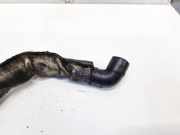 Entlüftungsschlauch Kraftstoffbehälter Audi A4, B6 2000.11 - 2004.11 PX0416530,