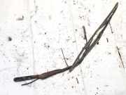 Windschutzscheibe Scheibenwischer Iveco Daily, 2000.01 - 2005.12 80005697B,