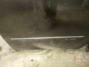 Zierleiste T?r Zier-Schutzleiste - Hinten Linke Fiat Croma 2005 - 2011 Gebraucht,