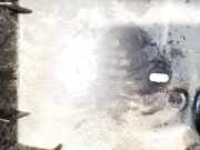 Deckel Sicherungskasten Citroen Xsara, I 2000.09 - 2005.03 facelift 9637135780,