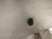 Waschwasserd?se Scheibenreinigung Mitsubishi Colt, 2003.09 - 2008.09 Gebraucht,