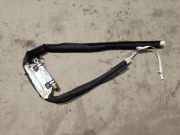 Kopfairbag - Vorne Linke Renault Scenic, III 2009.02 - 2013.06 985P10681R,985P10681R 6667 A 2527 B0619 2 03 3 267 0387 95 IC LH 6667A2527 20332670387 95ICLH