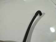 Druckspeicher Ford Transit Connect 2002.06 - 2008.12 1S4R70494AA, 1S4R-70494-AA D8NLA