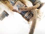 Waschwasserpumpe Scheibenreinigung Mitsubishi Space Star, 1998.06 - 2002.10 Gebraucht,