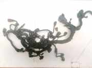 Kabelbaum Opel Insignia A, 2008.01 - 2013.01 55562748,55568515 55568518