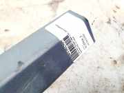 Zierleiste Tür Zier-Schutzleiste - Vorne Linke Chrysler Voyager, IV 2000.02 - 2008.12 Gebraucht,