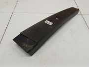 Zierleiste Leiste - Vorne Linke Renault Scenic, II 2003.06 - 2006.06 MP5469,MP 5469 8200139600
