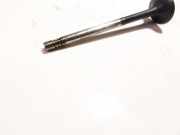 Auslassventil Volkswagen Polo, IV 2005.04 - 2009.11 facelift Gebraucht,