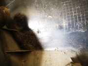 Innenausstattung Ford KA, 2008.11 - 2014 735442008,