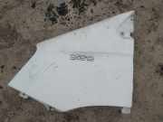 Kotflügel - Vorne Linke Iveco Daily, 2006.01 - 2011.06 BALTAS,