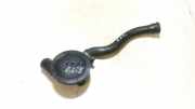 Ventil Kurbelgehäuseentlüftung Volkswagen Golf, III 1993.07 - 1999.04 028129101d,3911170975 1z