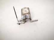 T?rscharnier Hinten Renault Scenic, II 2003.06 - 2006.06 Gebraucht,