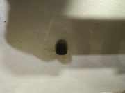 Waschwasserd?se Scheibenreinigung Kia Sorento, I 2002.01 - 2009.06 Gebraucht,