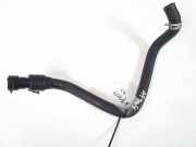 Kühlerschlauch Peugeot 807, 2002.06 - 2012.05 Gebraucht,