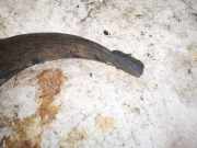 Radhausschale - Vorne Rechts Volkswagen Golf, III 1993.07 - 1999.04 Gebraucht, 1Z