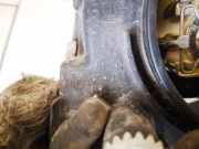 Hauptscheinwerfer - Vorne Rechts Volkswagen Passat, B5 1996.08 - 2000.11 14742600, 147426-00 AFN