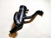 Ventil Kurbelgehäuseentlüftung Citroen ZX, I 1991.01 - 1998.12 Gebraucht ,