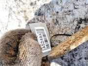 Blattfeder Hinten Ford Transit, III 2000.01 - 2006.04 Gebraucht,