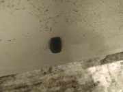 Waschwasserd?se Scheibenreinigung Toyota Corolla, 2004.02 - 2007.02 facelift Gebraucht,