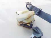 Sicherheitsgurt - Hinten Rechts Renault Laguna, I 1994.01 - 2001.03 7700428345,7700428346