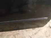 Zierleiste T?r Zier-Schutzleiste - Vorne Rechts Mazda 6, 2002.06 - 2007.08 Gebraucht,