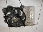 Kühlerlüfter Lüftermotor Peugeot 207, 2006.02 - 2009.06 Gebraucht,