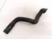 K?hlerschlauch Citroen Evasion, I 1994.01 - 2002.12 1483010080,