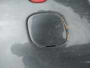 Abdeckung Abschlepphaken - Hinten Volkswagen Touareg, 2002.10 - 2007.09 Gebraucht, AXQ
